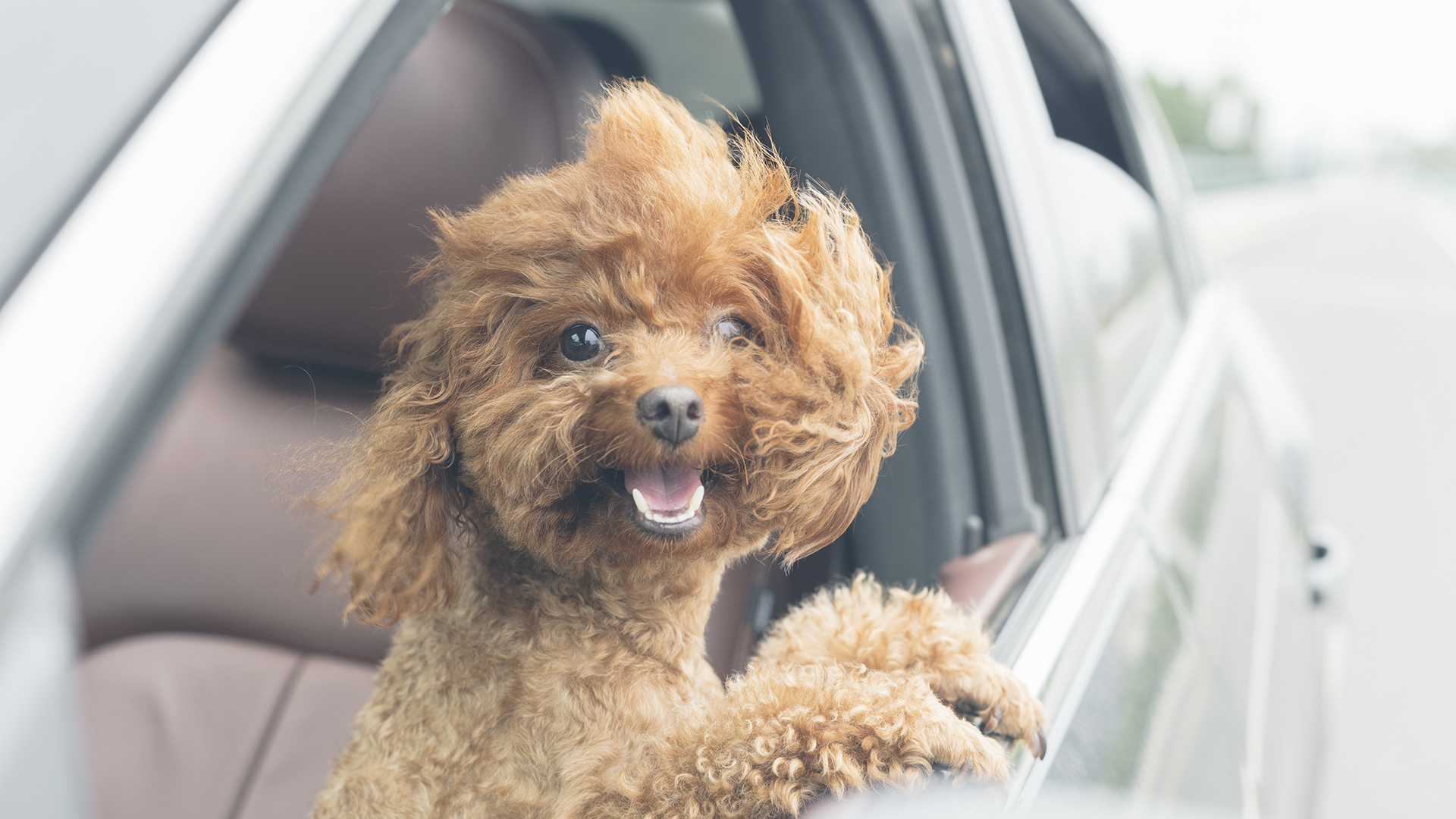 Veranstaltungsbild der Kategorie Verkehr